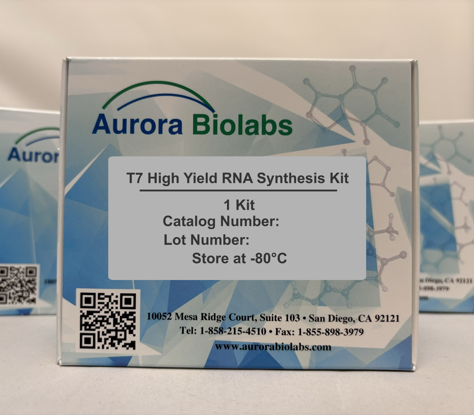T7 High Yield RNA Synthesis Kit T7 High Yield RNA Synthesis Kit